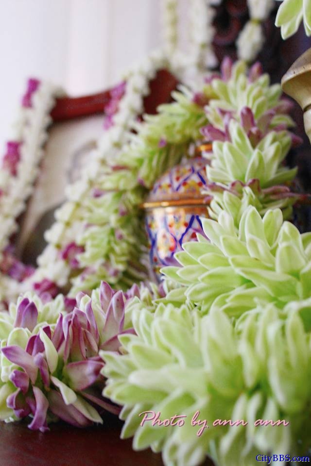 清迈旅游风情_Chiang Mai Travel 清迈旅游风情_Chiang Mai Travel